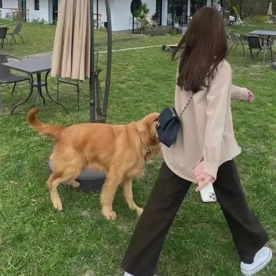 狮子王3